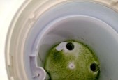 咖啡机水箱绿藻的处理方法（清洁咖啡机水箱）