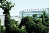如何通过高清电视机连接网络（简单步骤让您的电视机实现网络连接）