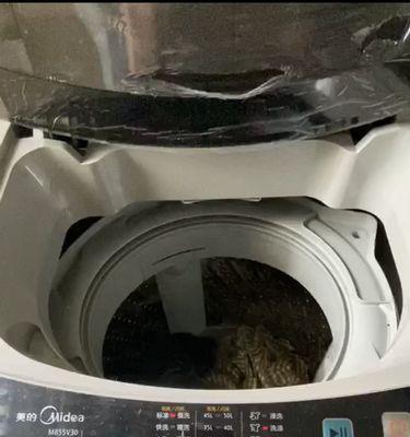美的洗衣机常见问题及维修指南（解决您的洗衣机烦恼）  第1张
