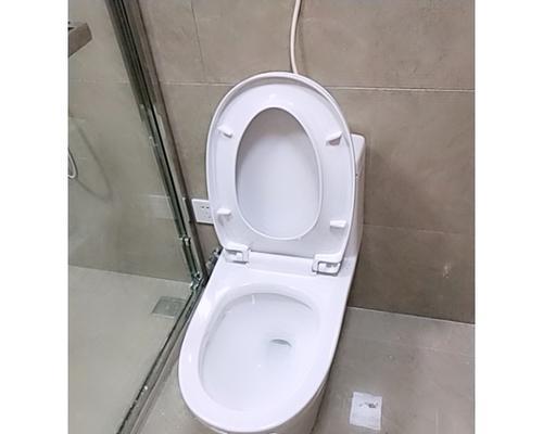 马桶盖缓降失效的修理方法（探究马桶盖缓降失效的原因及修理步骤）  第3张