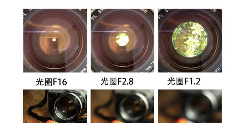 相机广角镜镜头特写使用技巧是什么？  第2张