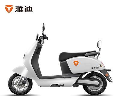 雅迪22安电池充电器选择方法是什么？  第2张