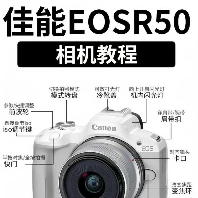 安装佳能单反相机镜头的正确步骤是什么？  第3张